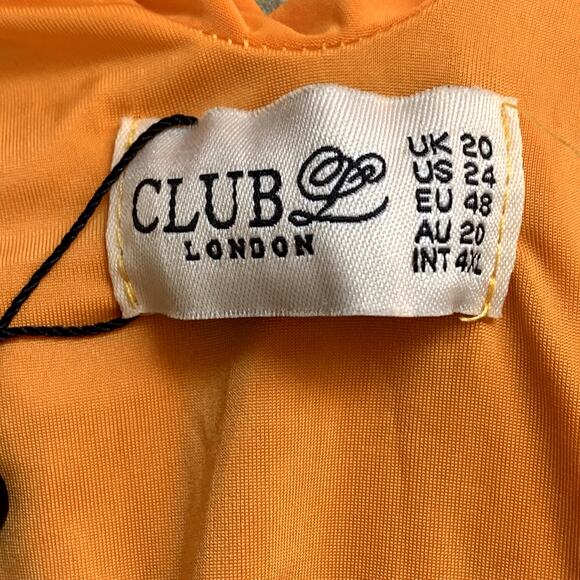 NWT Club L London Drapey Ruched Mini Dress in Autumn Glory - Picture 4 of 6